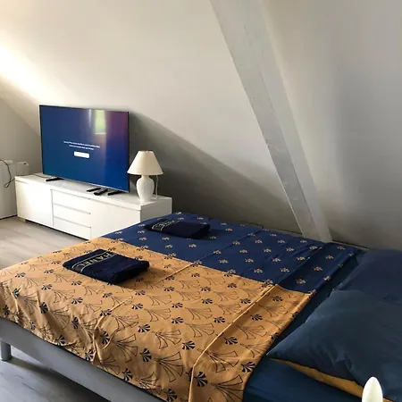 Les Cigognes De Andolsheim Appartement Buitenkant foto