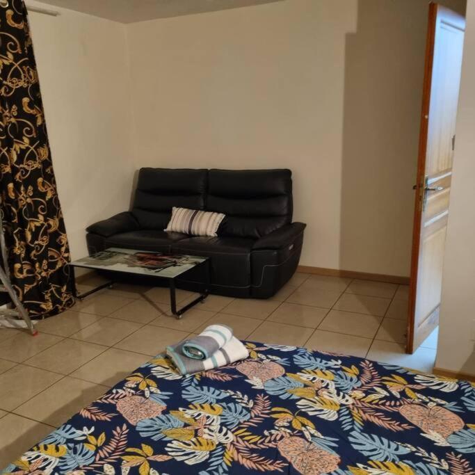 Les Cigognes De Appartement Andolsheim